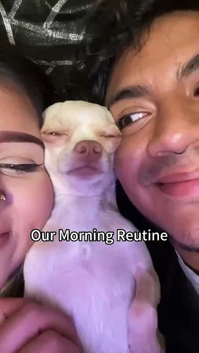 Animal funny video 😂