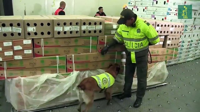 Colombia y el reto de exportar 600 millones de flores para San Valentín