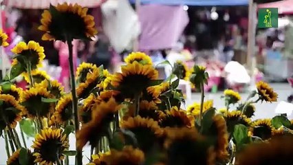 Vendedores filipinos le sacan ventaja al coronavirus en día de San Valentín