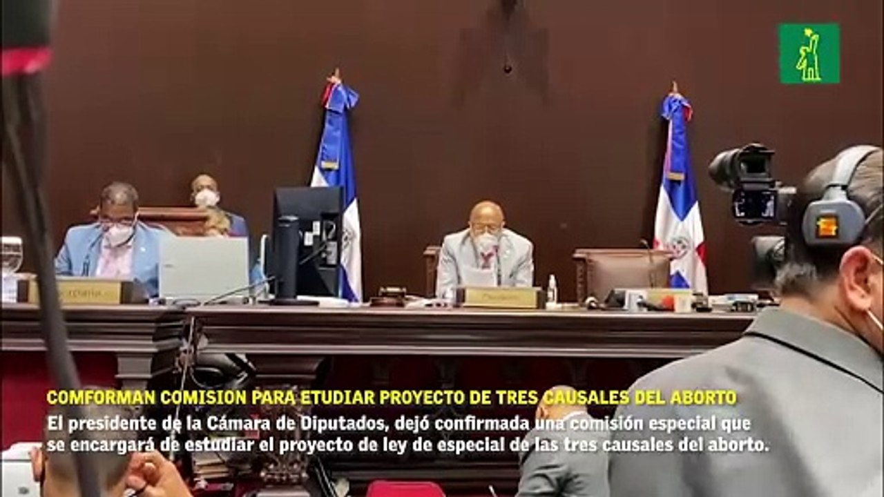 Diputados conforman comisión para estudiar el proyecto de las tres causales del aborto.
