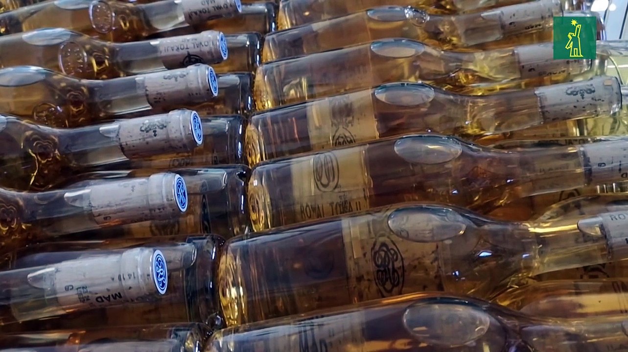 El Esszencia Magnum 2008, el vino más caro del mundo