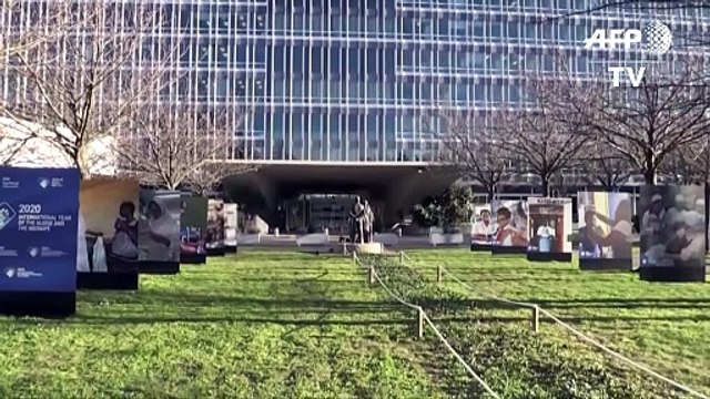 La OMS habla de riesgo de pandemia , aunque la epidemia retrocede en China