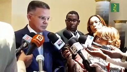 Entrega de resultados de auditoría de la OEA al voto automatizado es de fecha indefinida