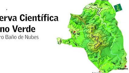 Sendero Baño De Nubes