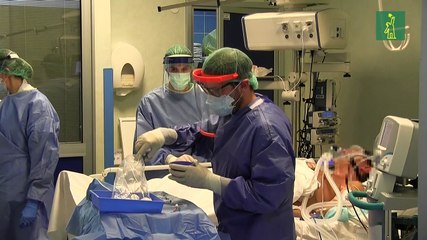 ¿Es posible contraer dos veces la COVID-19?