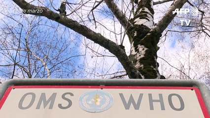 OMS investiga si ibuprofeno es contraproducente para coronavirus