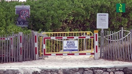 Trump amenaza con suspender la contribución de EEUU a la OMS