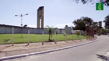 Presos brasileños producen máscaras protectoras contra COVID-19