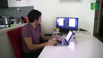 Científico panameño se lleva las hormigas a su casa por el COVID-19