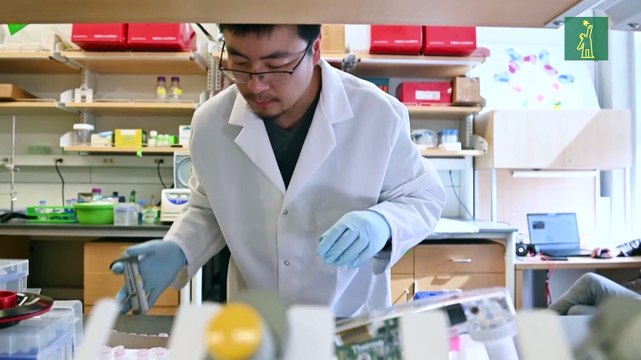 En EEUU, una vacuna experimental contra COVID-19 da primeros resultados alentadores