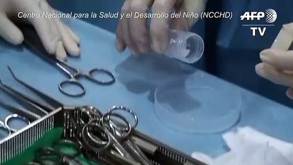 Tratamiento pionero en Japón con células madre a un bebé con problemas de hígado