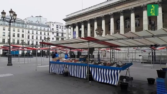 El encierro por COVID-19 reduce un 17 % las emisiones mundiales de carbono
