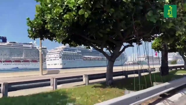 Decenas de miles de tripulantes atrapados en cruceros, desesperados por volver a casa