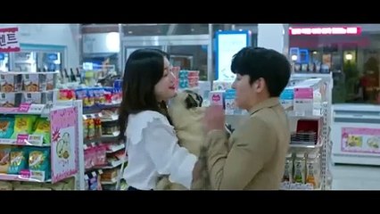 Callejero Novato 2 Español Latino