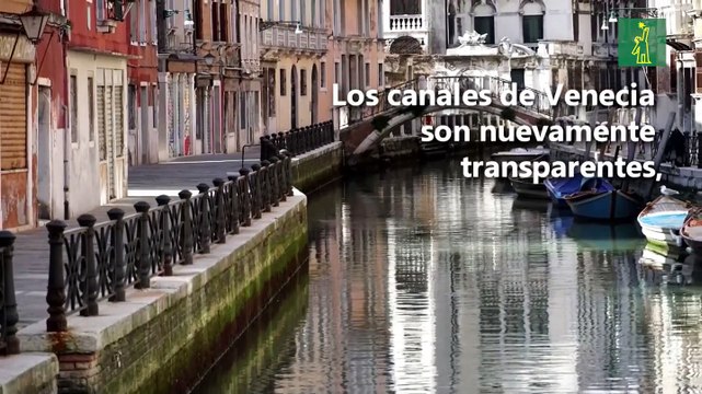 El coronavirus, un arma de doble filo ante la crisis climática