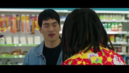 Callejero Novato 4 Español Latino