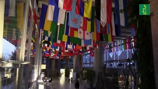 EEUU rompe relaciones con la OMS