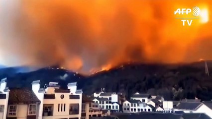 Incendio forestal deja 19 muertos en China