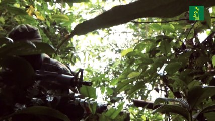 Guerrilla del ELN anuncia alto al fuego temporal en Colombia por pandemia
