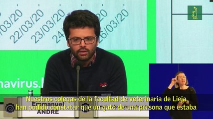 Bélgica detecta un "caso aislado" de un paciente que contagió a su gato
