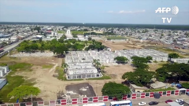 Ecuador retiró casi 800 cadáveres de viviendas de Guayaquil, núcleo de la pandemia