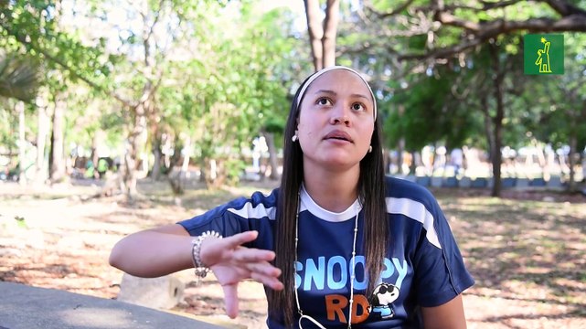 El trabajo de pasear tu perro.