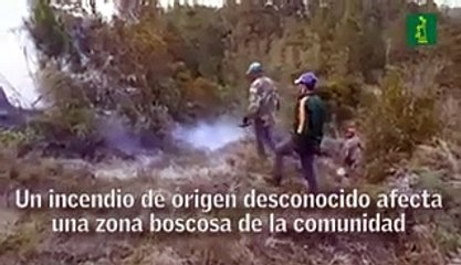 Reportan fuego forestal en Constanza