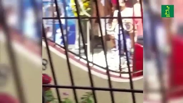 Familiares y amigos de fallecidos por Clerén se despiden consumiendo alcohol en Los Alcarrizos