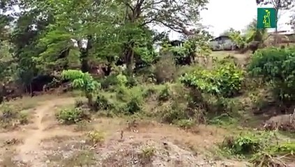 Comunidad de Bienvenido, Manoguayabo piden ser añadidos al plan de ayudas