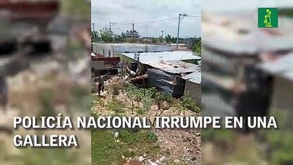Policía Nacional irrumpe en una gallera