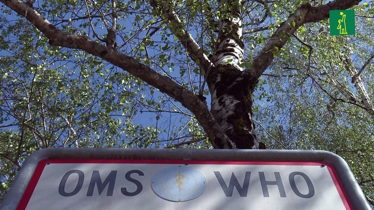 OMS suspende temporalmente los ensayos clínicos de hidroxicloroquina por seguridad