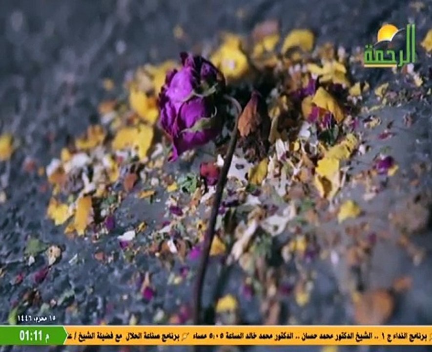 من فواصل قناة الرحمة 1446هـ