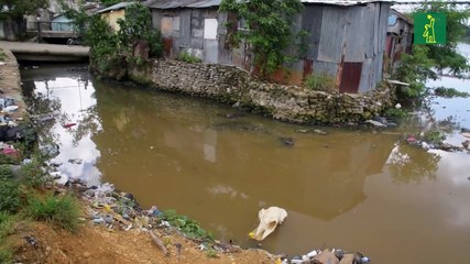 Ozama e Isabela y su potencial socio ambiental.