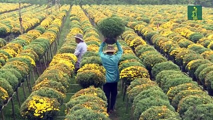 La pandemia hizo perder el equivalente a 255 millones de empleos en el mundo en 2020.