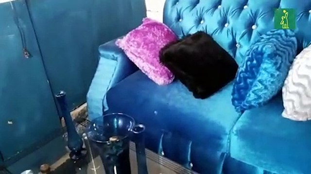 la situación en el barrio Las Flores, de San Cristóbal, donde tres personas fueron asesinadas ayer.