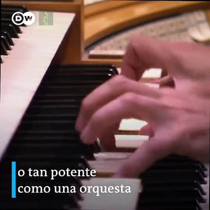 ¿El instrumento rey?