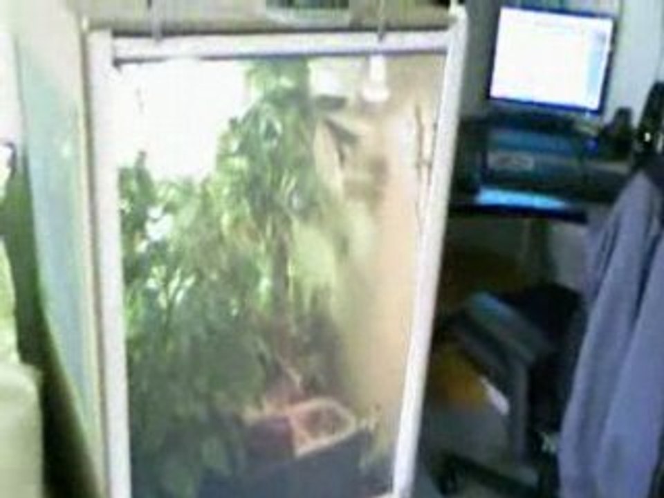 des ptits coins d'paradis!!!