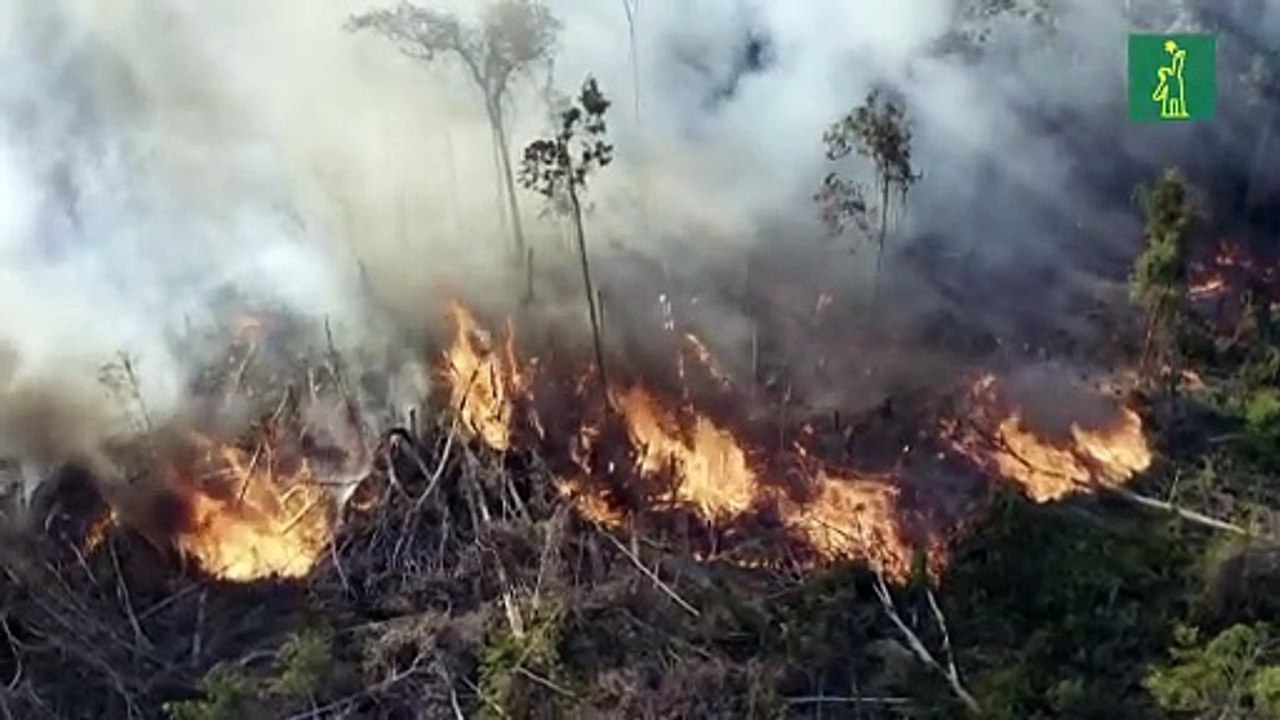 Incendios forestales aumentaron en Brasil durante 2020