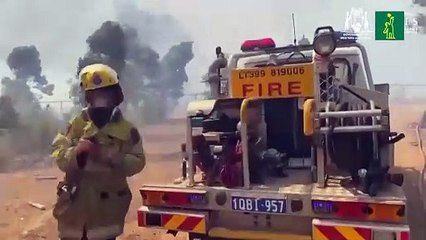 Incendios forestales destruyen más de 70 casas en Australia