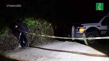 Investigan hallazgo de 12 cadáveres en el este de México