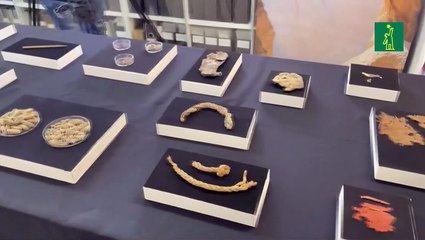 Israel muestra nuevos fragmentos de rollo bíblico milenario del Mar Muerto.