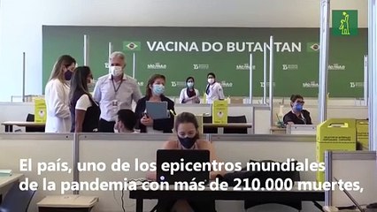 Vacunas en Brasil, a los pies del Cristo Redentor se inicia la campaña de inmunización