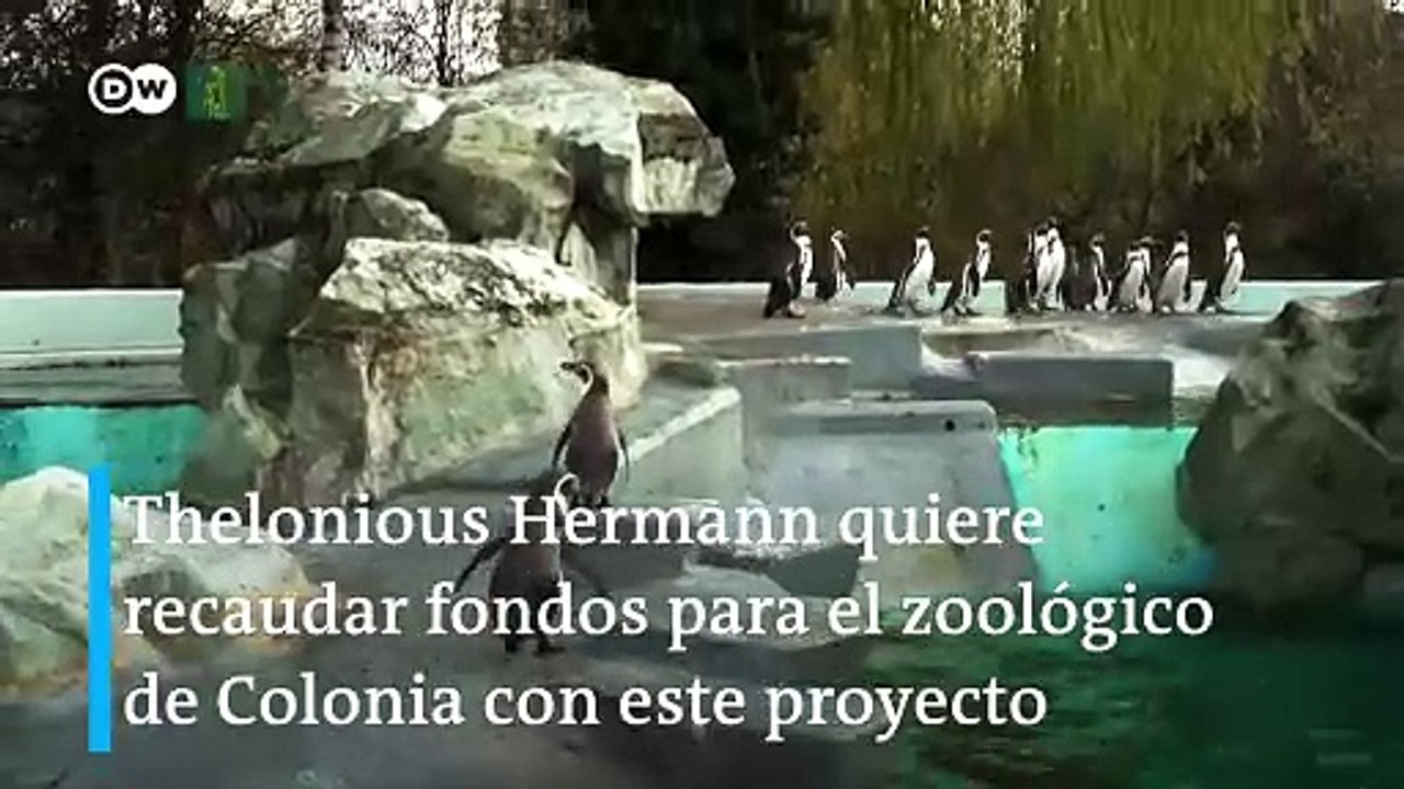 Concierto de piano para los animales