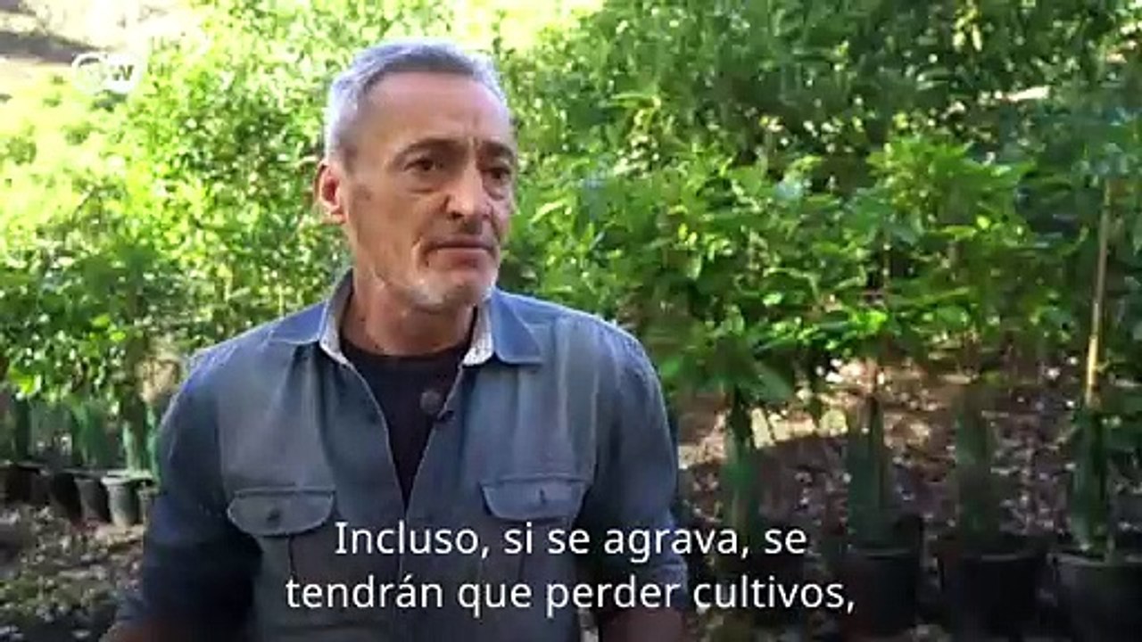 ¿Es posible consumir aguacate sostenible?
