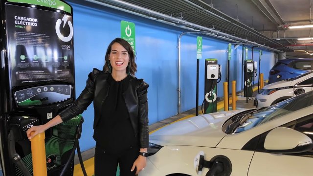 Movilidad eléctrica - Tipos de cargadores eléctricos