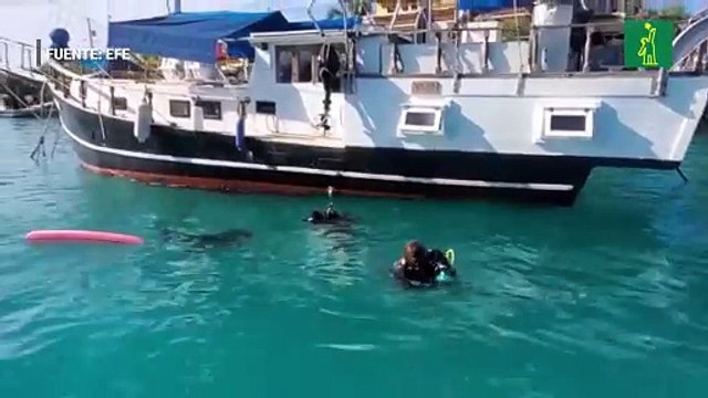 Submarinistas y guardaparques de Galápagos extraen 2.239 kilos de basuras del fondo del mar