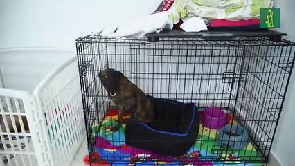 Pilar de la Cruz: “Se ríen en tu cara”