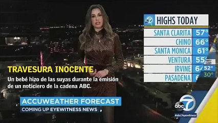 Bebé interrumpe a su mamá meteoróloga en plena transmisión en vivo
