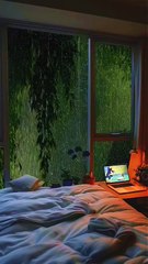 Raindrops Soothe and Thunderstorm Rages Outside.