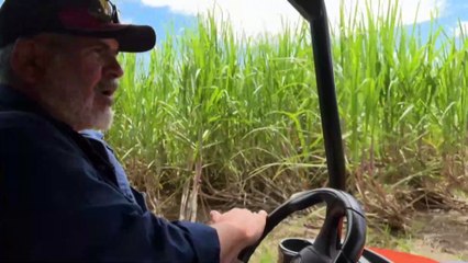 North Queensland rainfall a fortune for farmers, a misfortune for some
